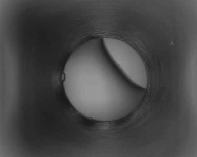 X0000100950131200806241130