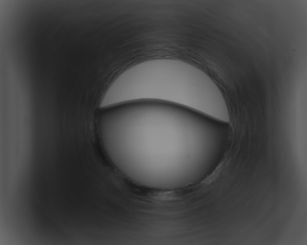 X0000100950132200806241130