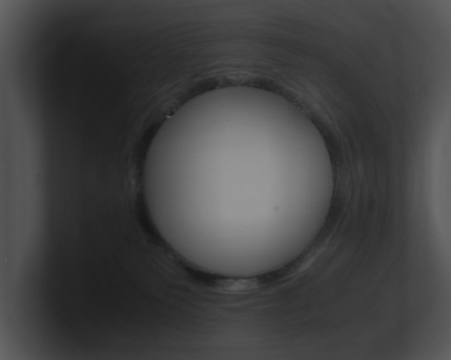 X0000100950135200806241130