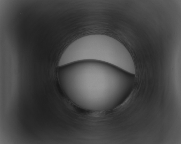 X0000100950136200806241130