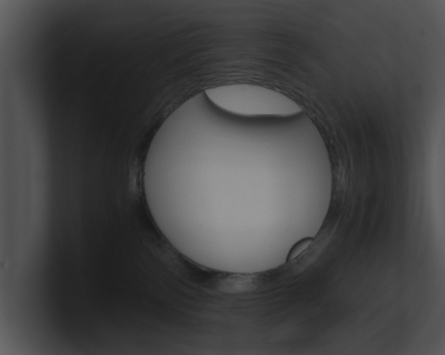X0000100950138200806241130