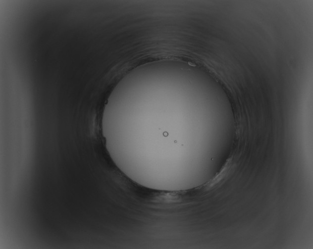 X0000100950140200806241130