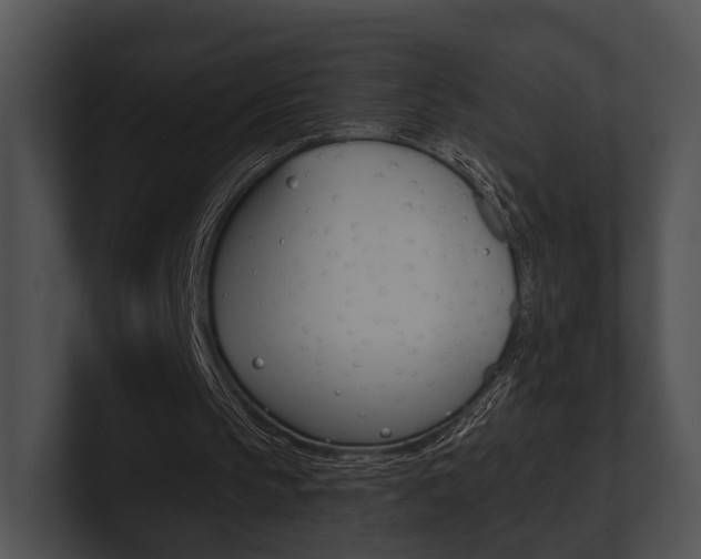 X0000100950145200806241130