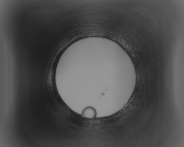 X0000100950146200806241130