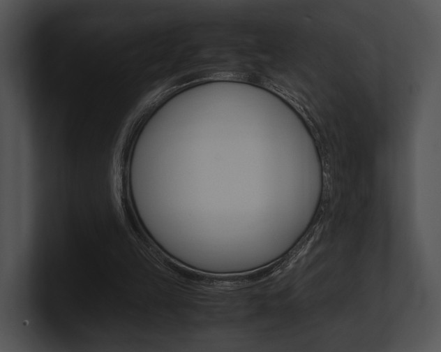 X0000100950149200806241130