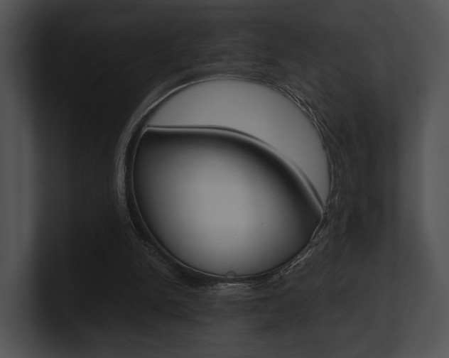 X0000100950150200806241130