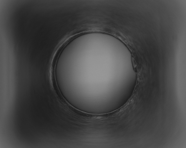 X0000100950152200806241130