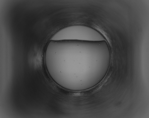 X0000100950153200806241130