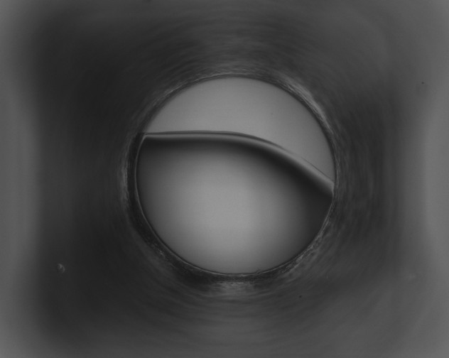 X0000100950154200806241130