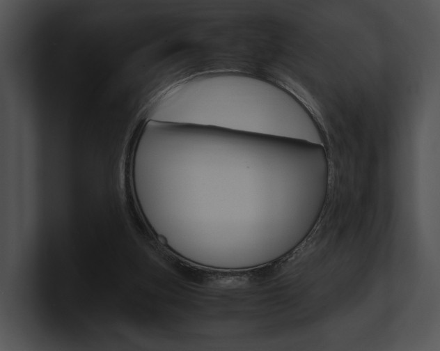 X0000100950155200806241130