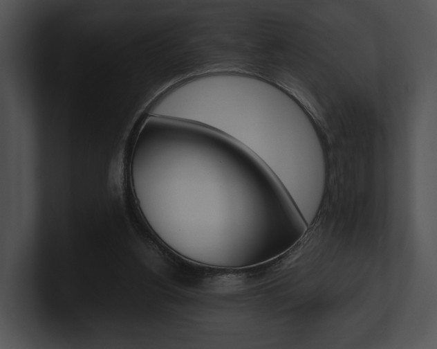 X0000100950156200806241130