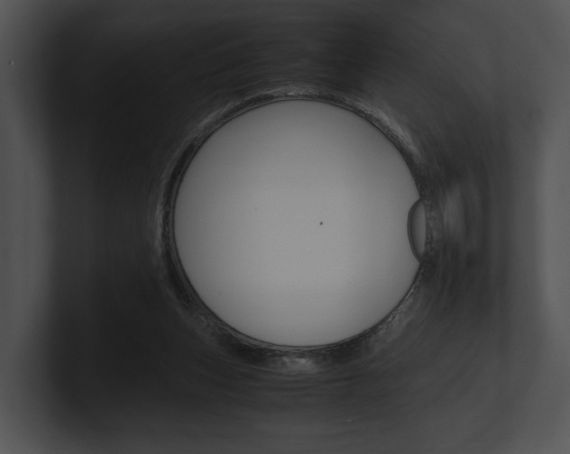 X0000100950159200806241130