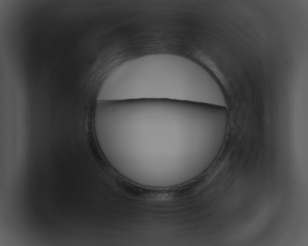 X0000100950161200806241130