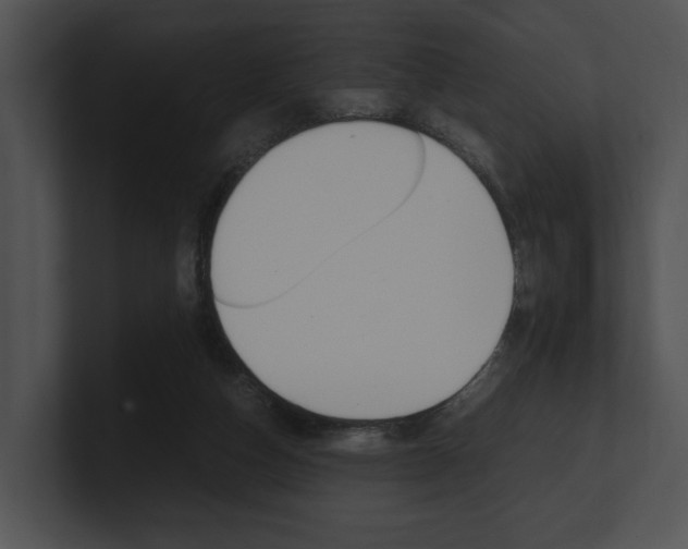 X0000100950162200806241130