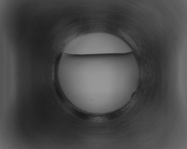 X0000100950163200806241130