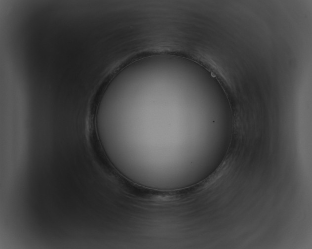X0000100950164200806241130