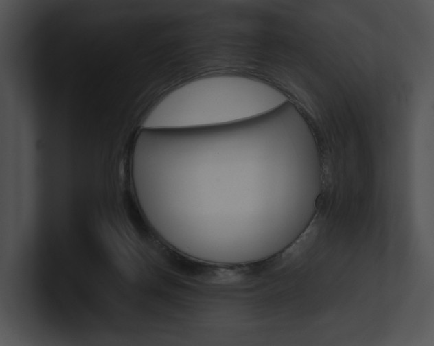X0000100950166200806241130