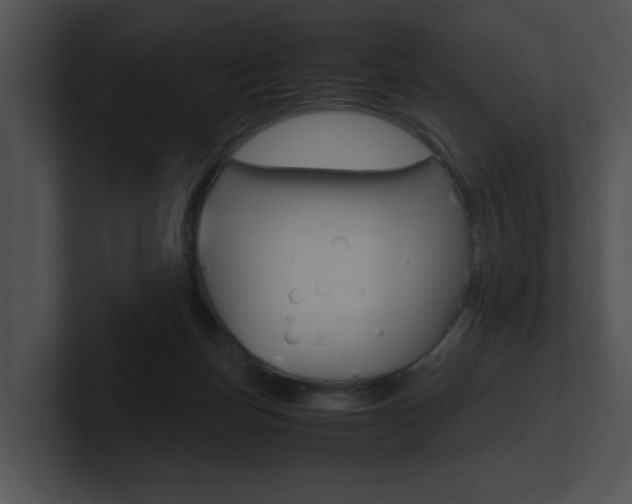 X0000100950171200806241130