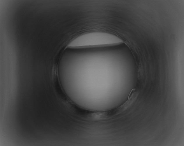 X0000100950172200806241130