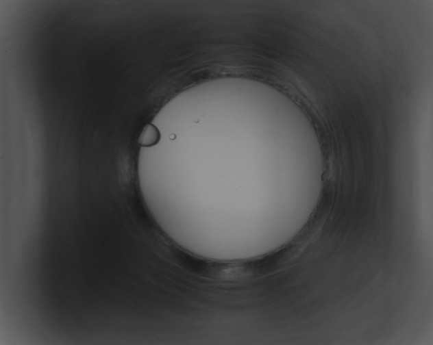 X0000100950173200806241130