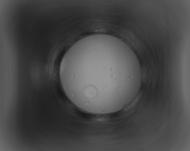 X0000100950175200806241130