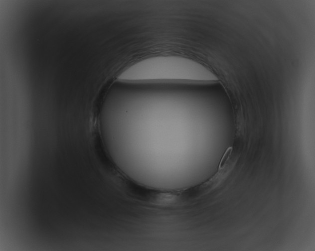 X0000100950176200806241130