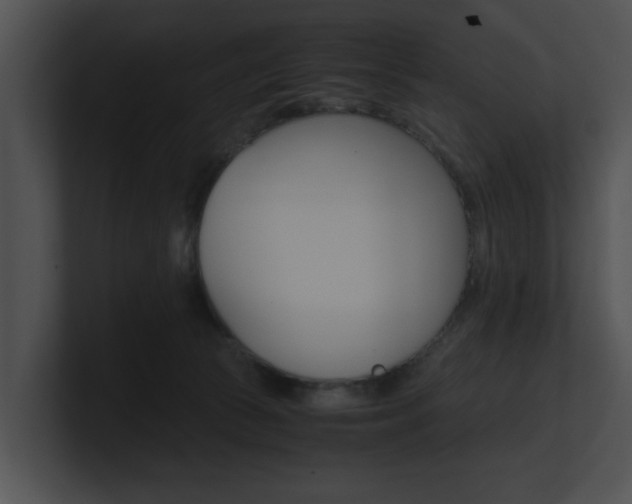X0000100950177200806241130