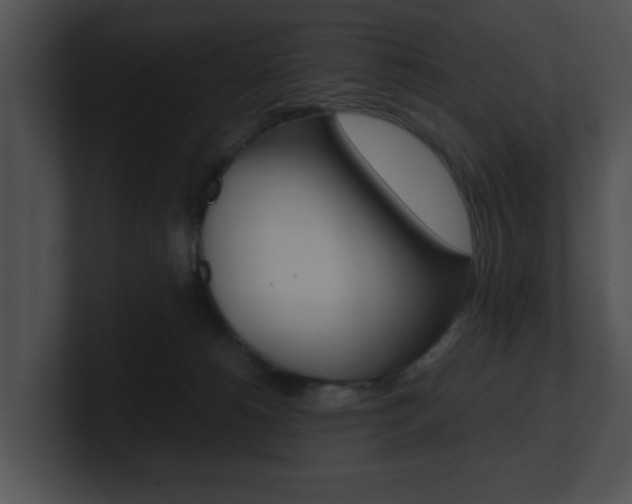 X0000100950180200806241130