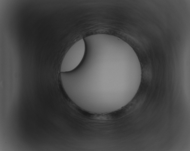 X0000100950181200806241130