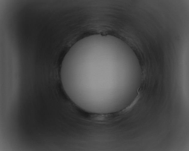 X0000100950182200806241130