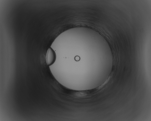 X0000100950183200806241130