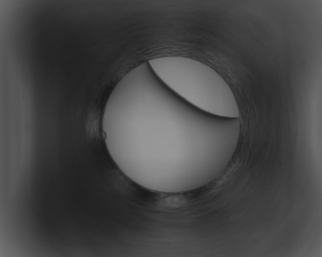 X0000100950185200806241130