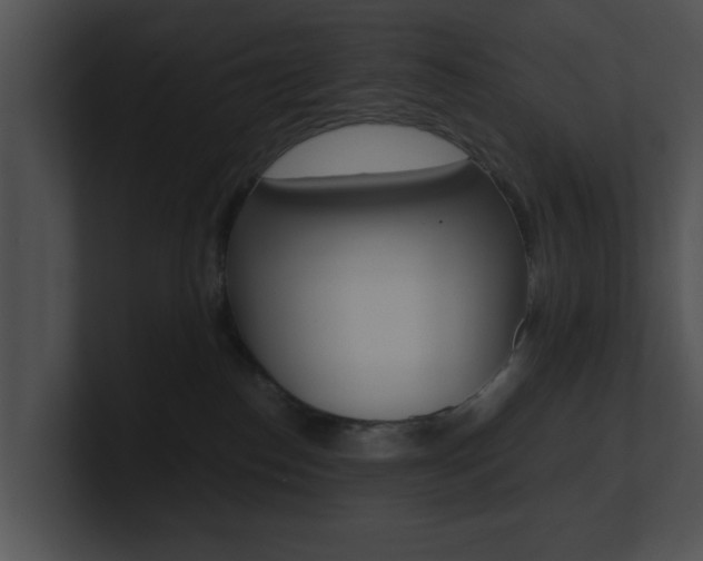 X0000100950186200806241130