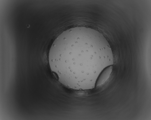 X0000100950187200806241130