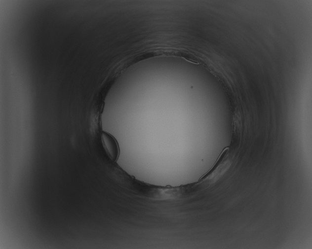 X0000100950188200806241130