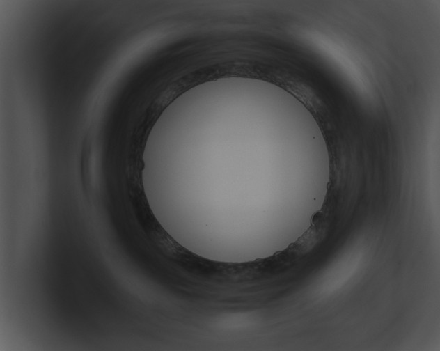 X0000100950189200806241130