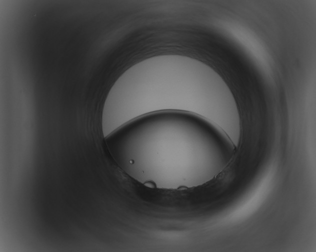 X0000100950190200806241130