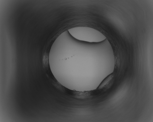 X0000100950191200806241130