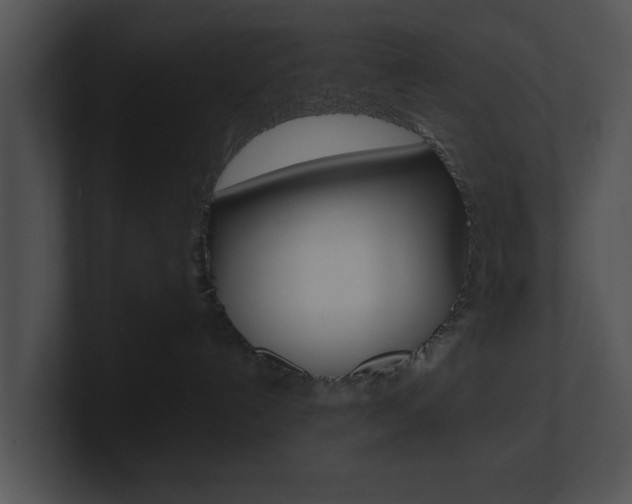 X0000100950192200806241130