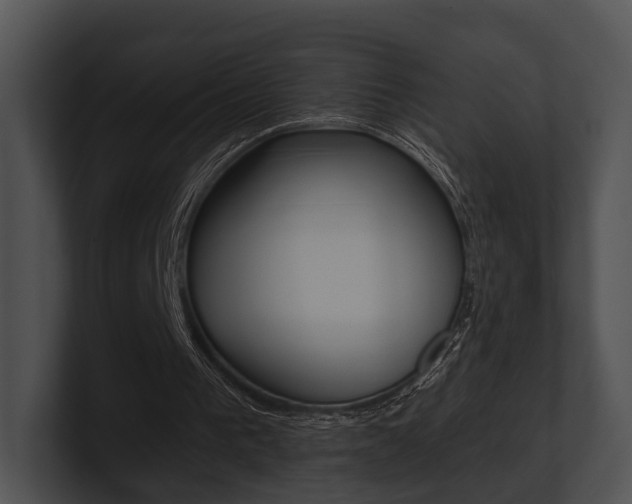X0000100950193200806241130