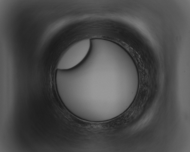X0000100950194200806241130