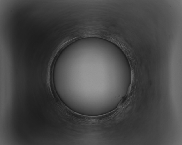X0000100950195200806241130