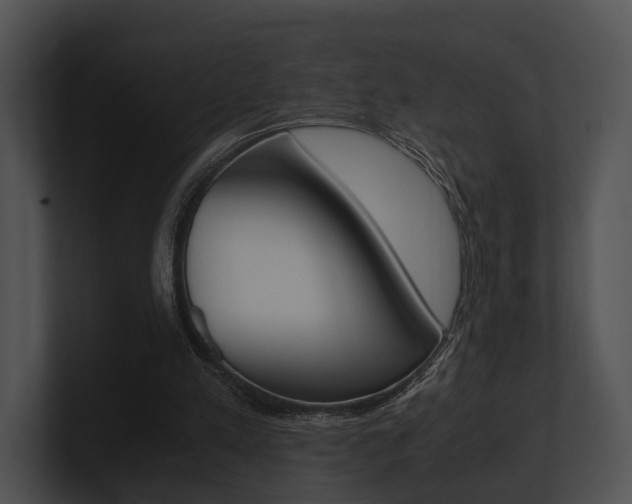 X0000100950197200806241130