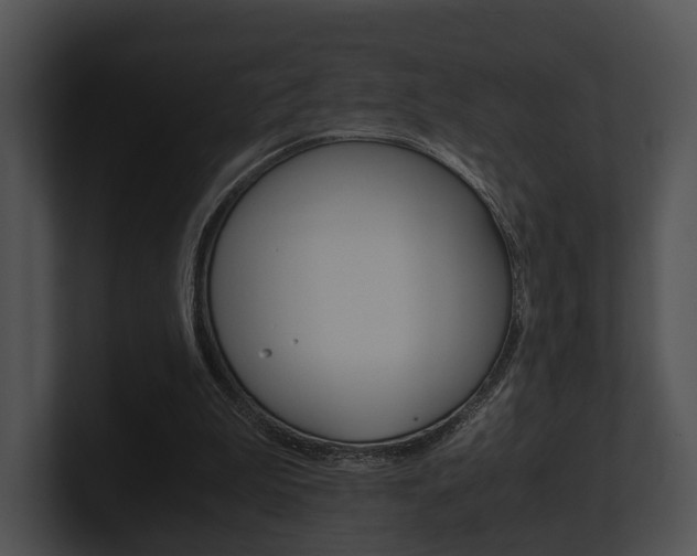 X0000100950199200806241130
