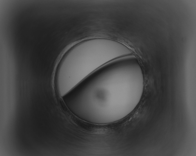X0000100950200200806241130