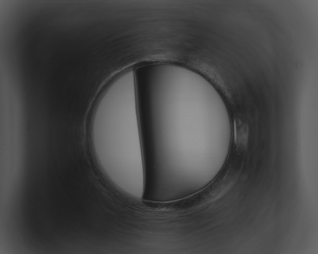 X0000100950204200806241130