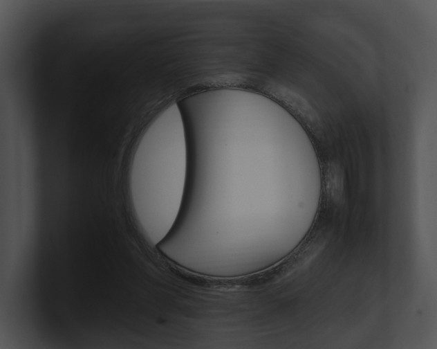 X0000100950206200806241129