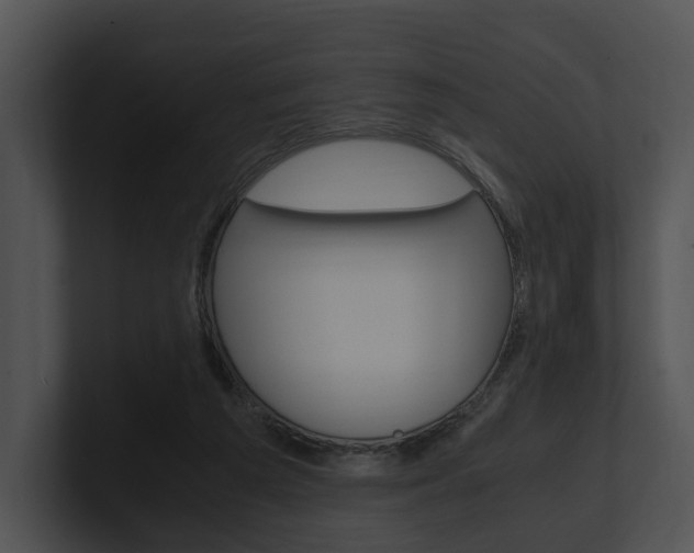 X0000100950209200806241129