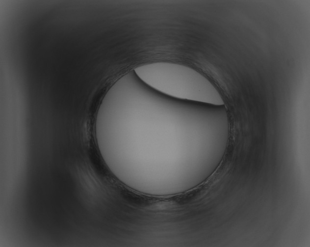 X0000100950210200806241129