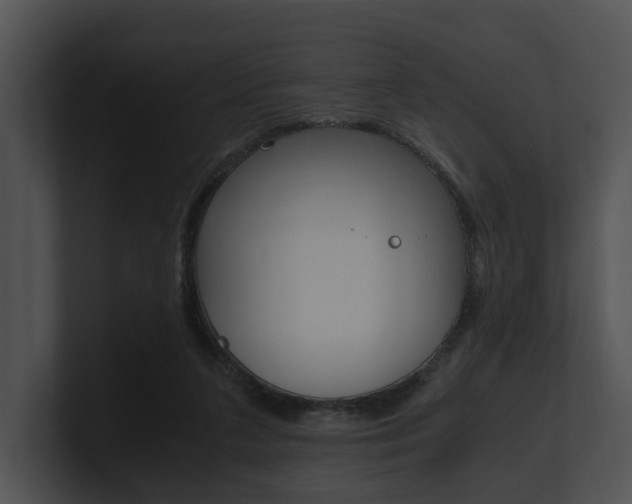 X0000100950211200806241129